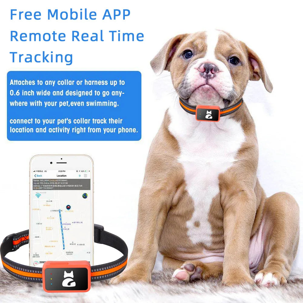 4G Smart Dog Collar Holder GPS Tracker for Pet Waterproof Cat Tracking Device Pet Locator with Find My for Ios Android